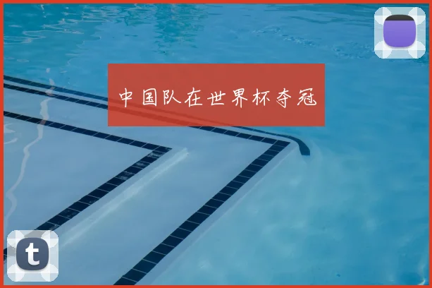 中国队在世界杯夺冠