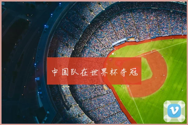 中国队在世界杯夺冠